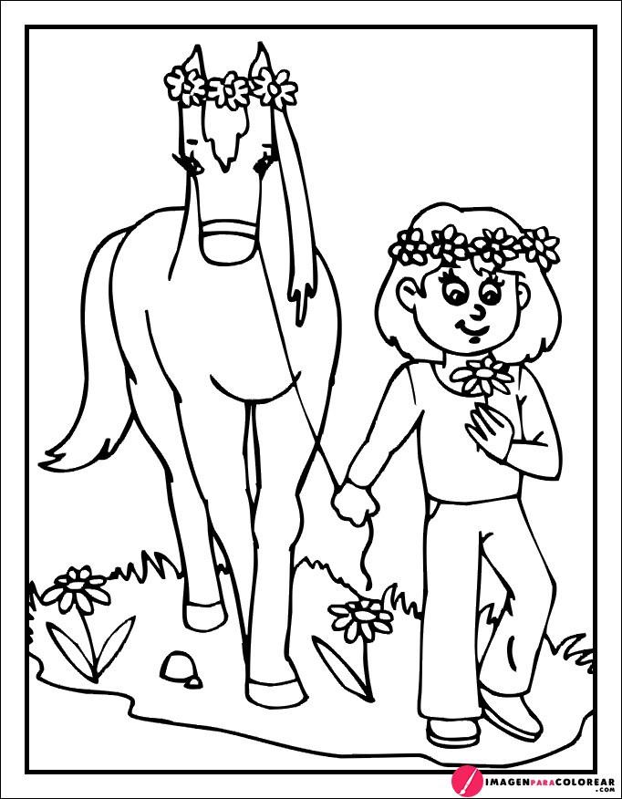 Dibujos Animados De Caballos