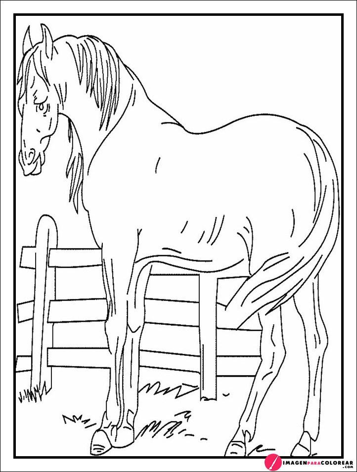 Dibujos De Caballos A Lapiz