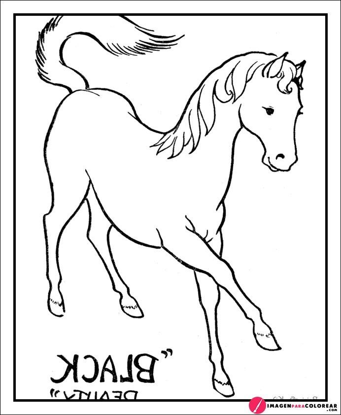 Dibujos De Caballos Faciles