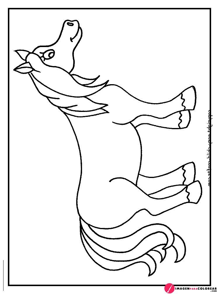 Caballos De Dibujos
