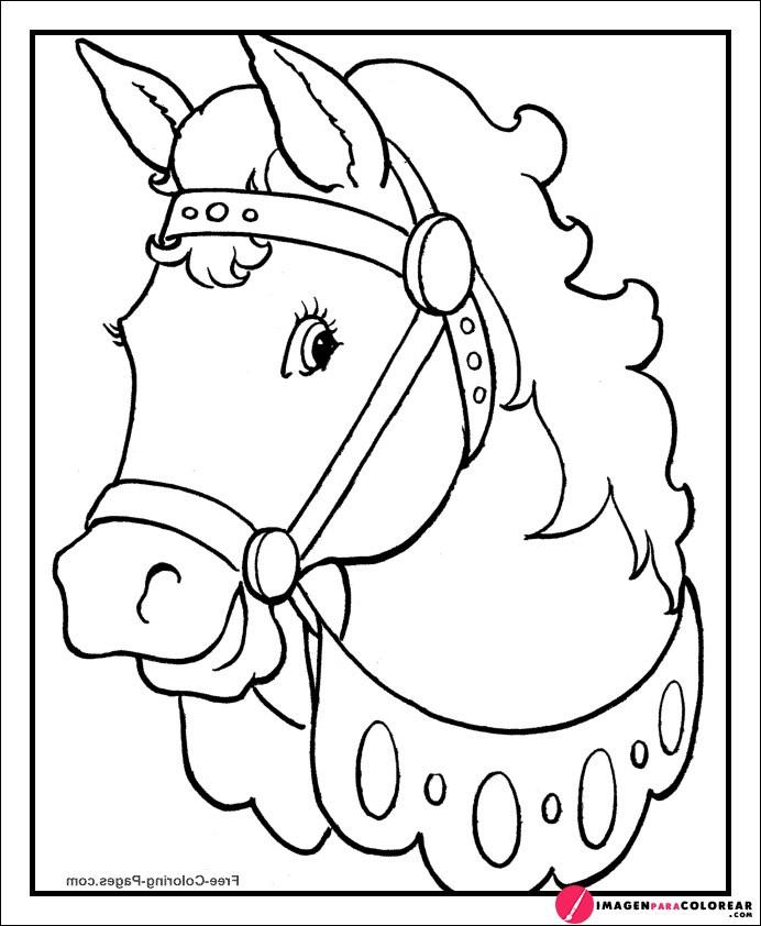 Fotos De Dibujos Animados De Caballos