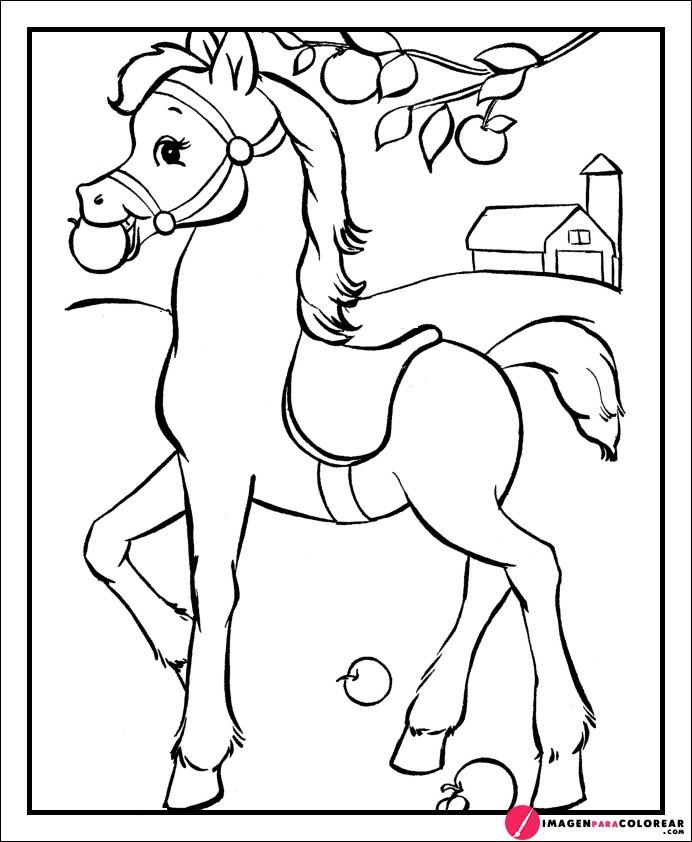 Imagenes De Caballos Dibujos Animados