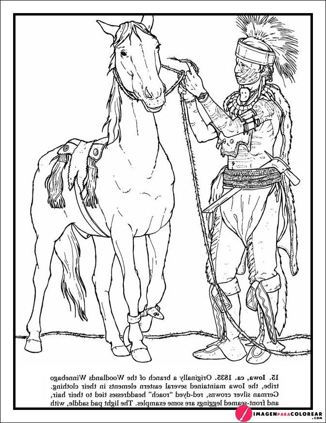 Imagenes De Caballos Hermosos