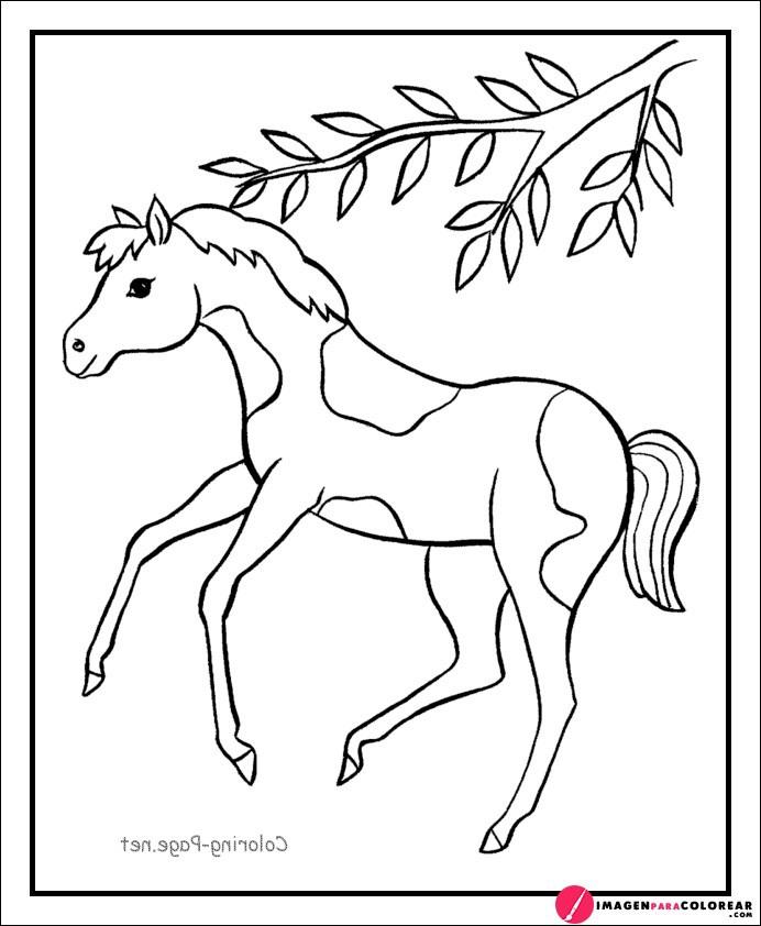 Imagenes De Dibujos De Caballos A Lapiz