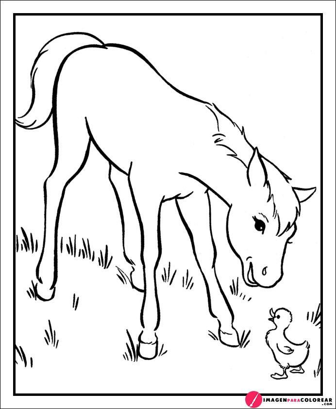 Imagenes Para Pintar Caballos
