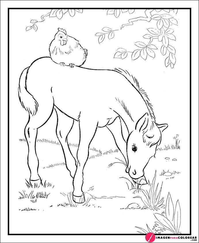 Imajenes De Caballos Para Dibujar