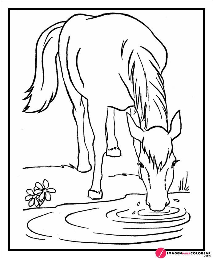 Juegos De Caballos De Carreras