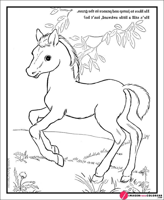 Juegos De Caballos Gratis