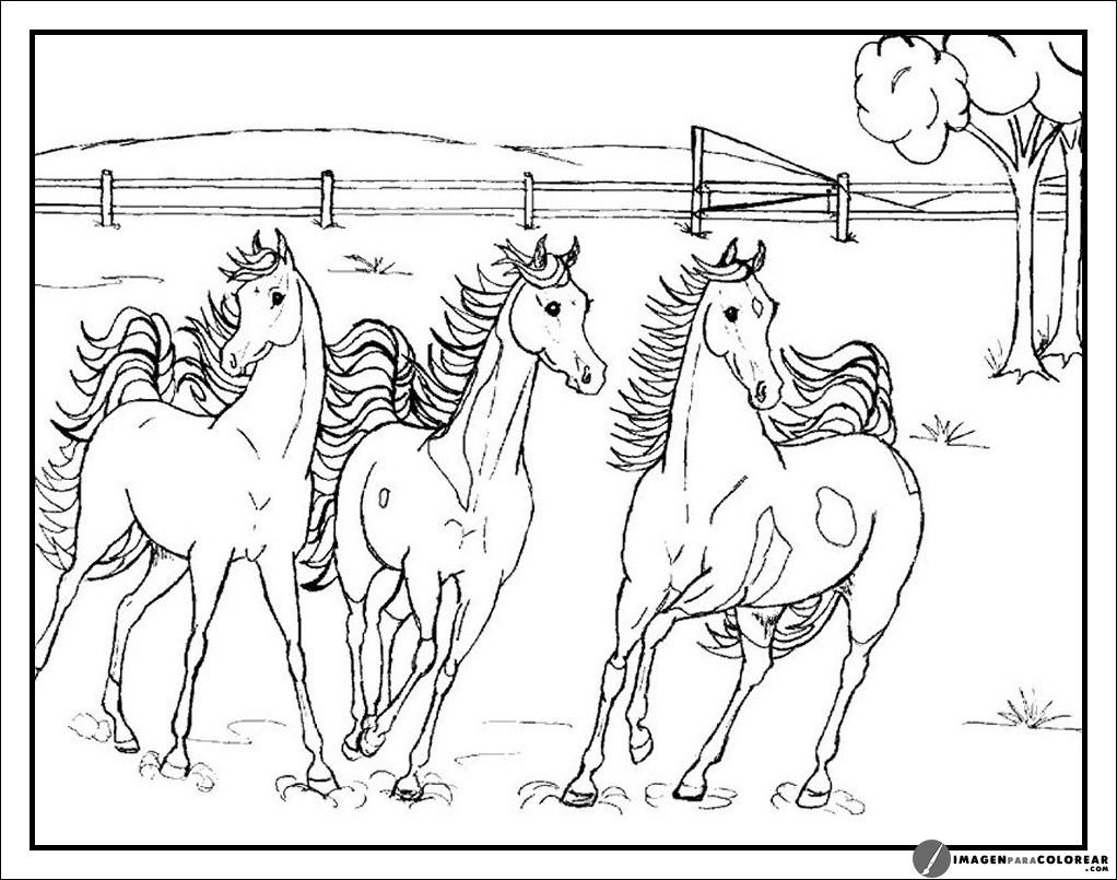 Juegos De Carreras De Caballos