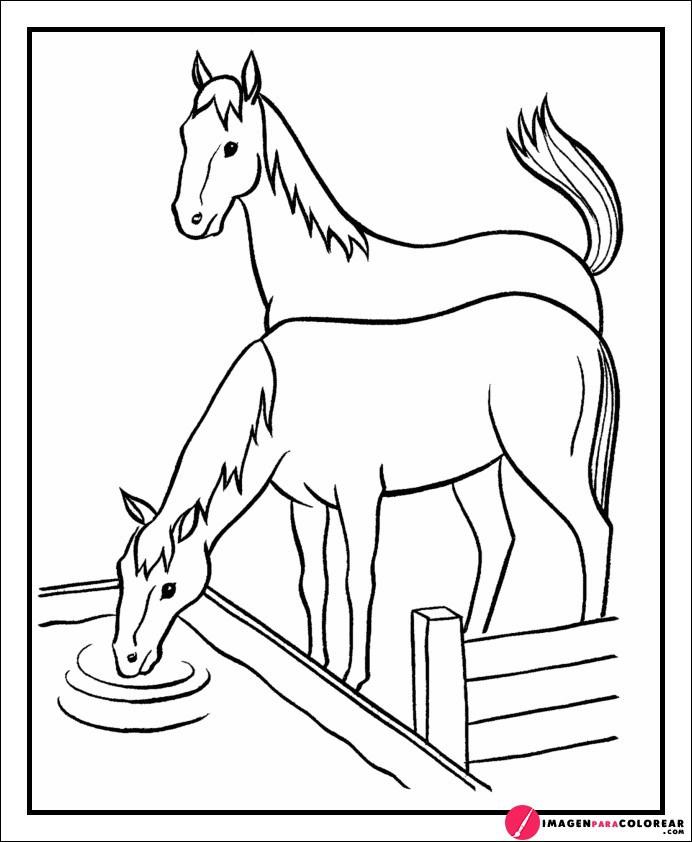 Juegos De Montar A Caballo