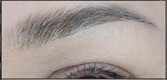 cejas perfectas-3-1