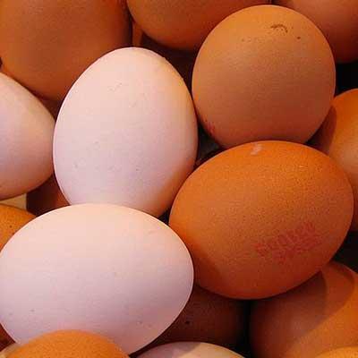 alimento dieta huevo