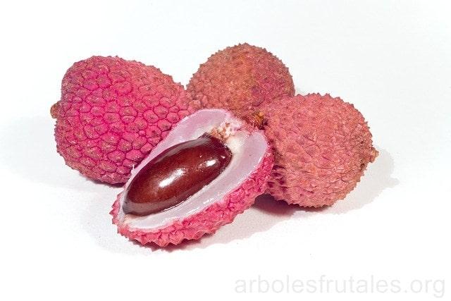 litchi-todo-lo_que-debes-saber