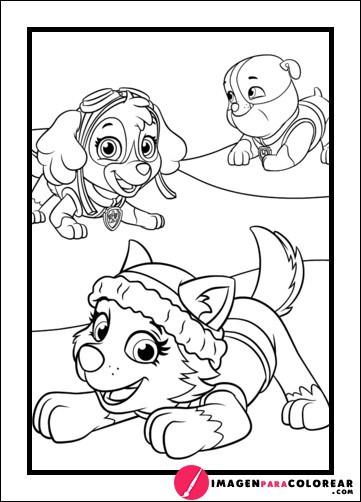 La Patrulla Canina Jugando