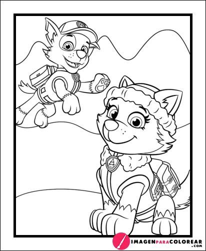 Patrulla Canina En Espanol