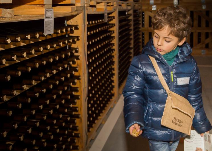 Planes en familia en La Rioja