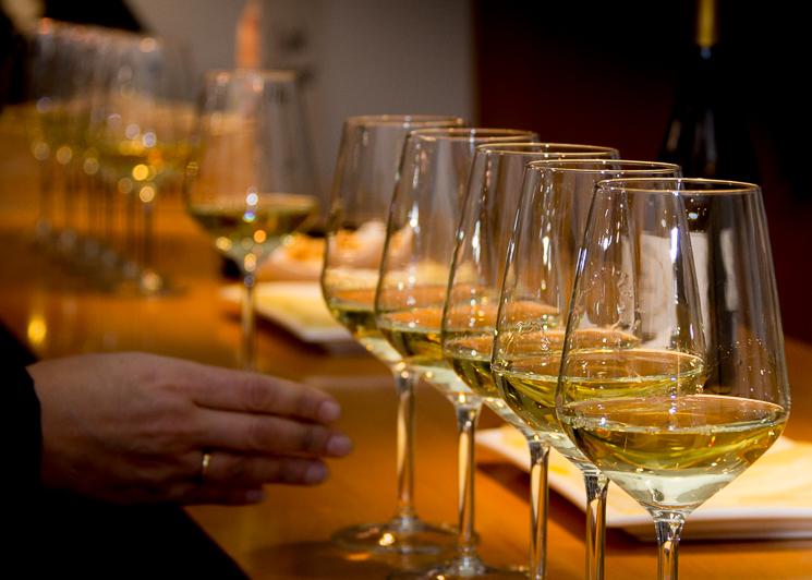 Planes con niños en La Rioja