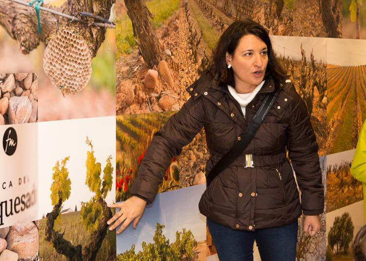 Planes con niños en La Rioja