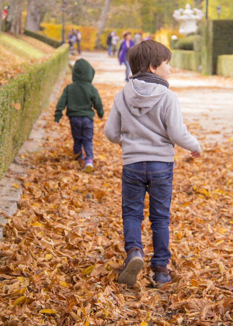 excursion con niños
