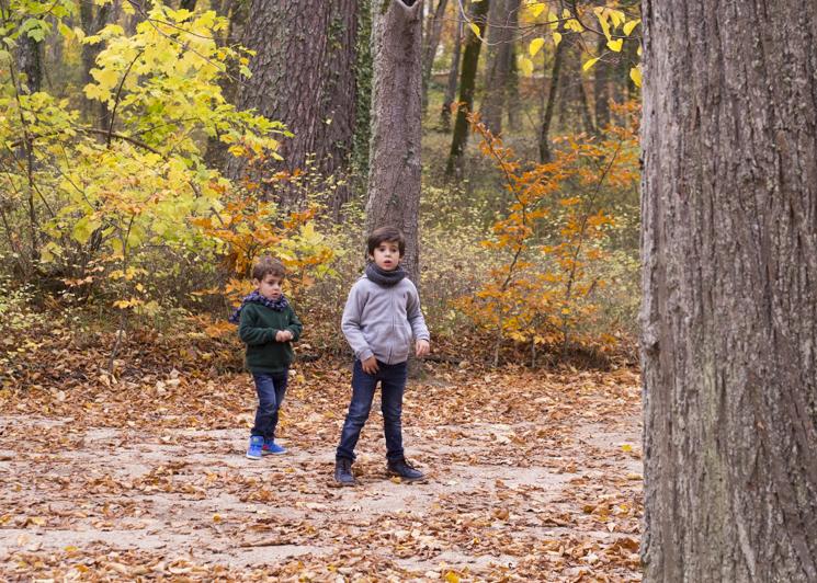 excursion con niños