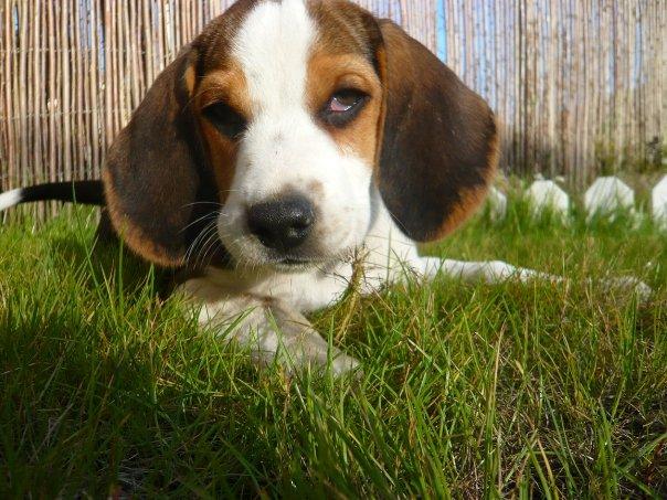 1937007_101323213219507_5132554_n