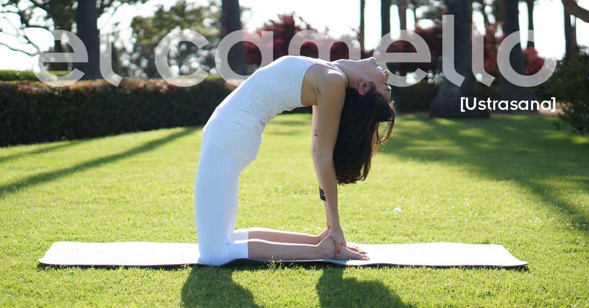 Postura ustranasana o el camello