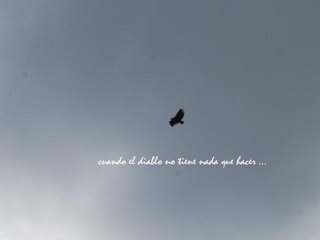 csc_0176-fileminimizer