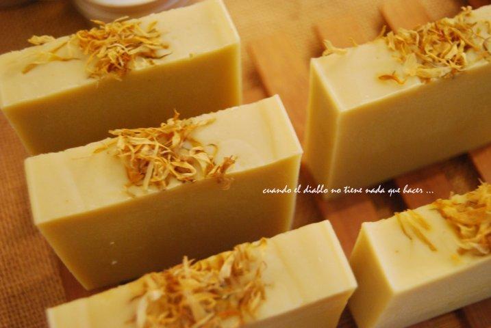 dsc_0099-fileminimizer