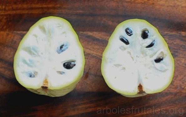 chirimoyo-todo_lo-que-debes-saber