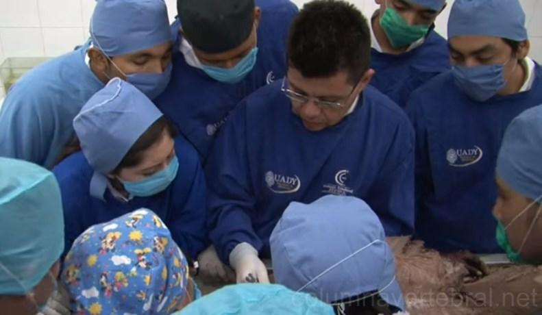 medicos especialistas en columna vertebral