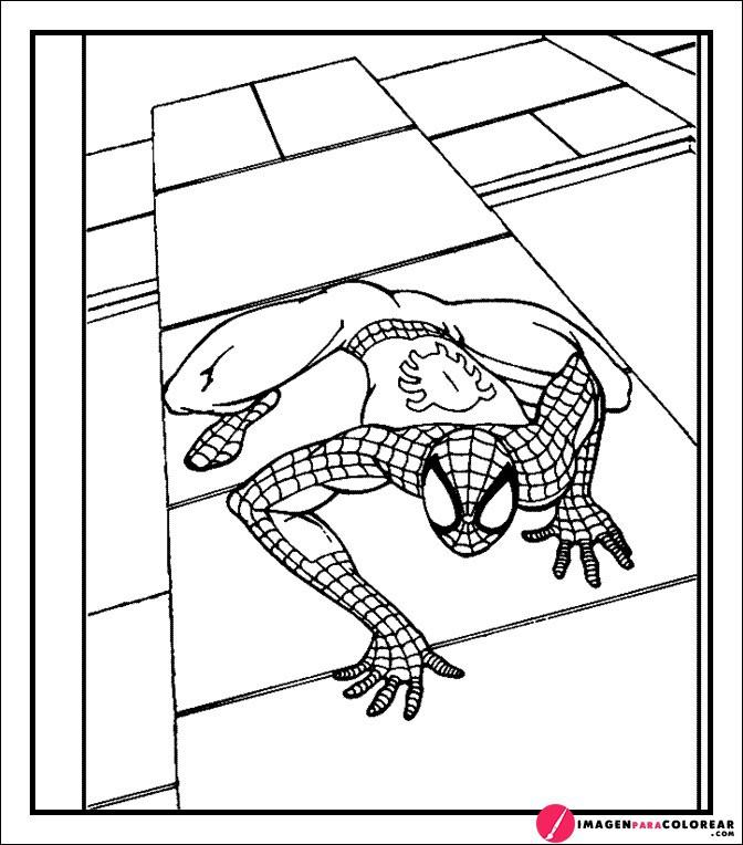 Web Para Pintar Spiderman