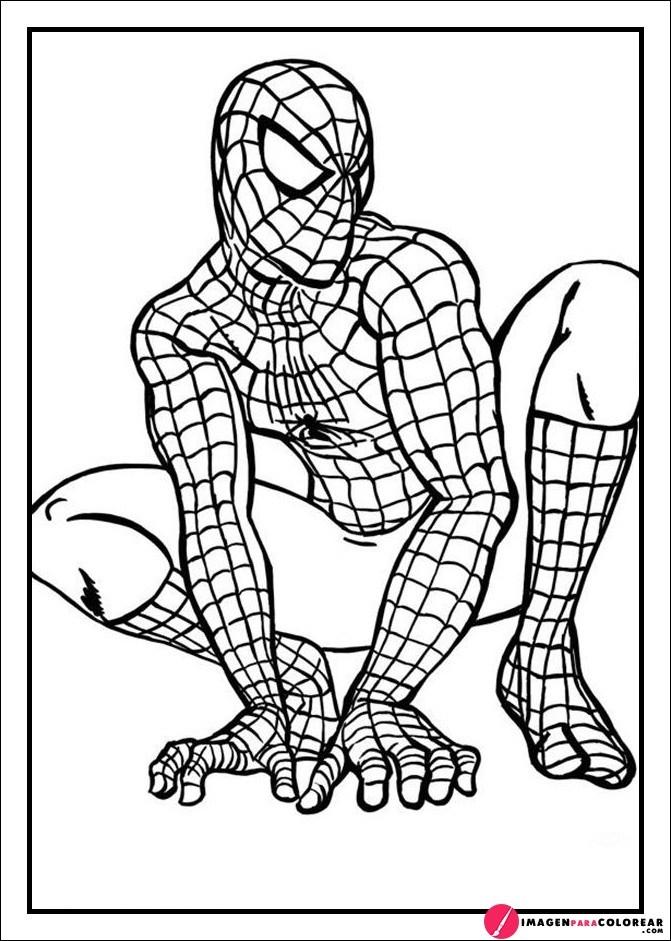 Spider Man Para Colorear