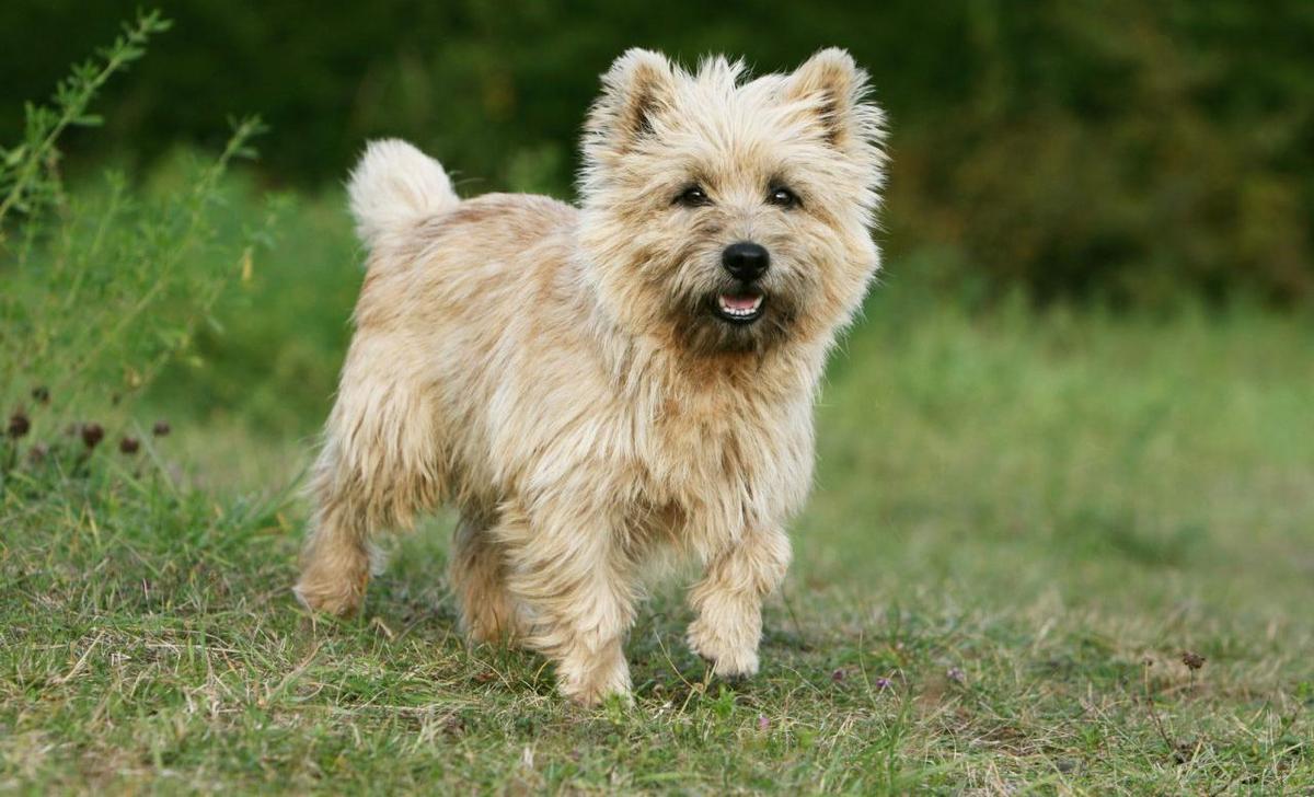 8b4368837f83de9353b508956deec545