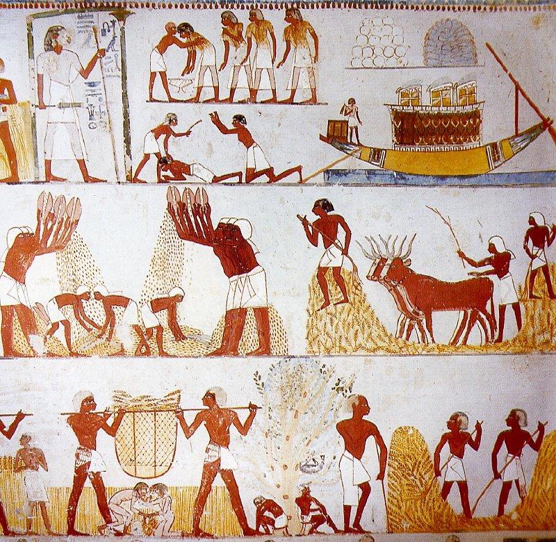 Agricultura en el Antiguo Egipto