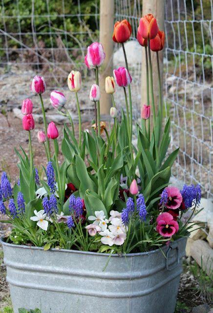 Recipiente combinando tulipanes y otras flores