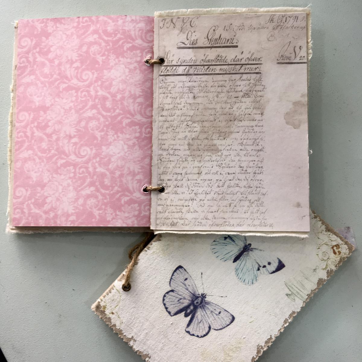 Cuaderno de mariposas