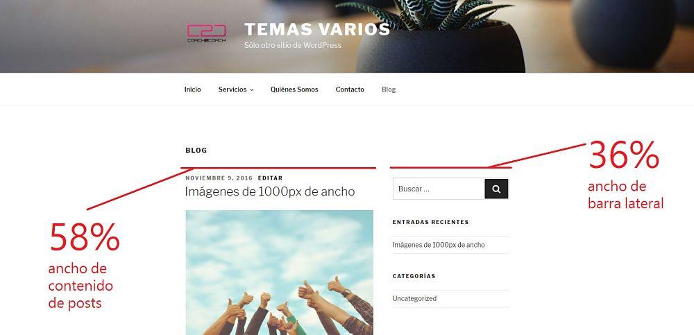 Apariencia del blog del tema twenty seventeen