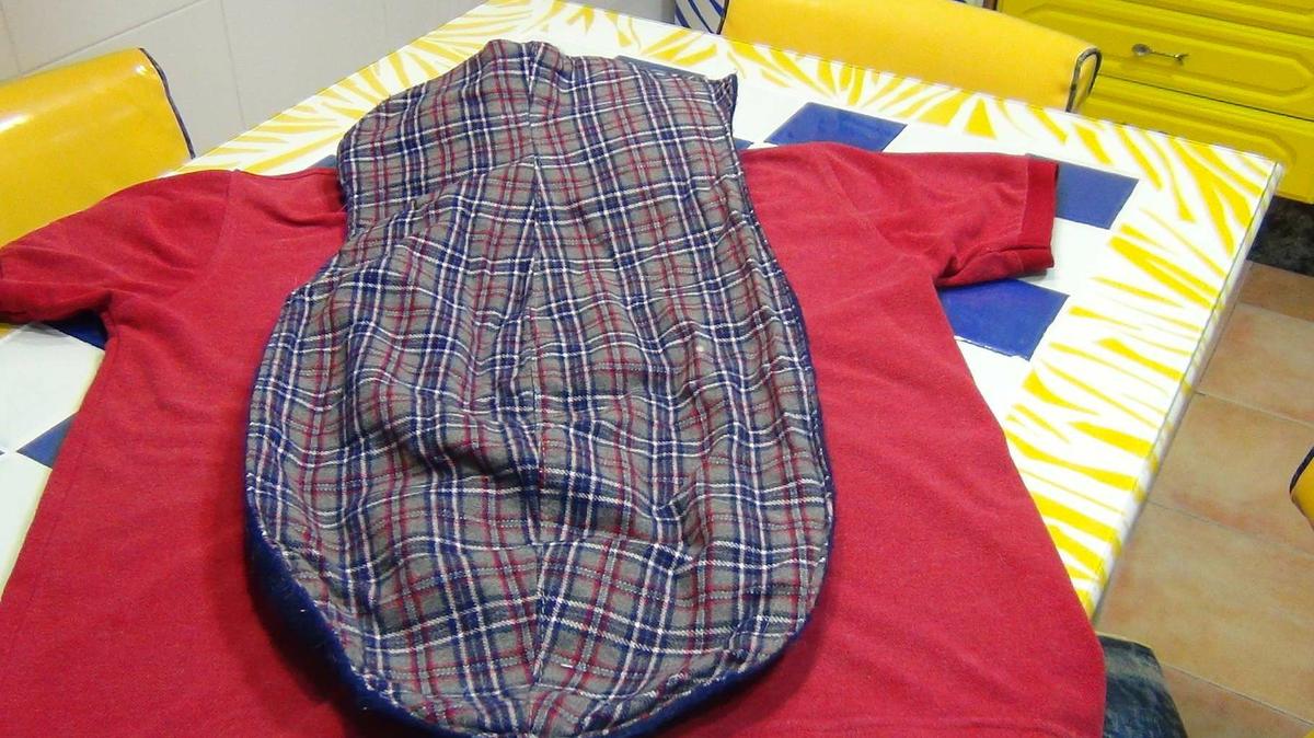 DSC03067-300x169 Un sueter para mi galgo