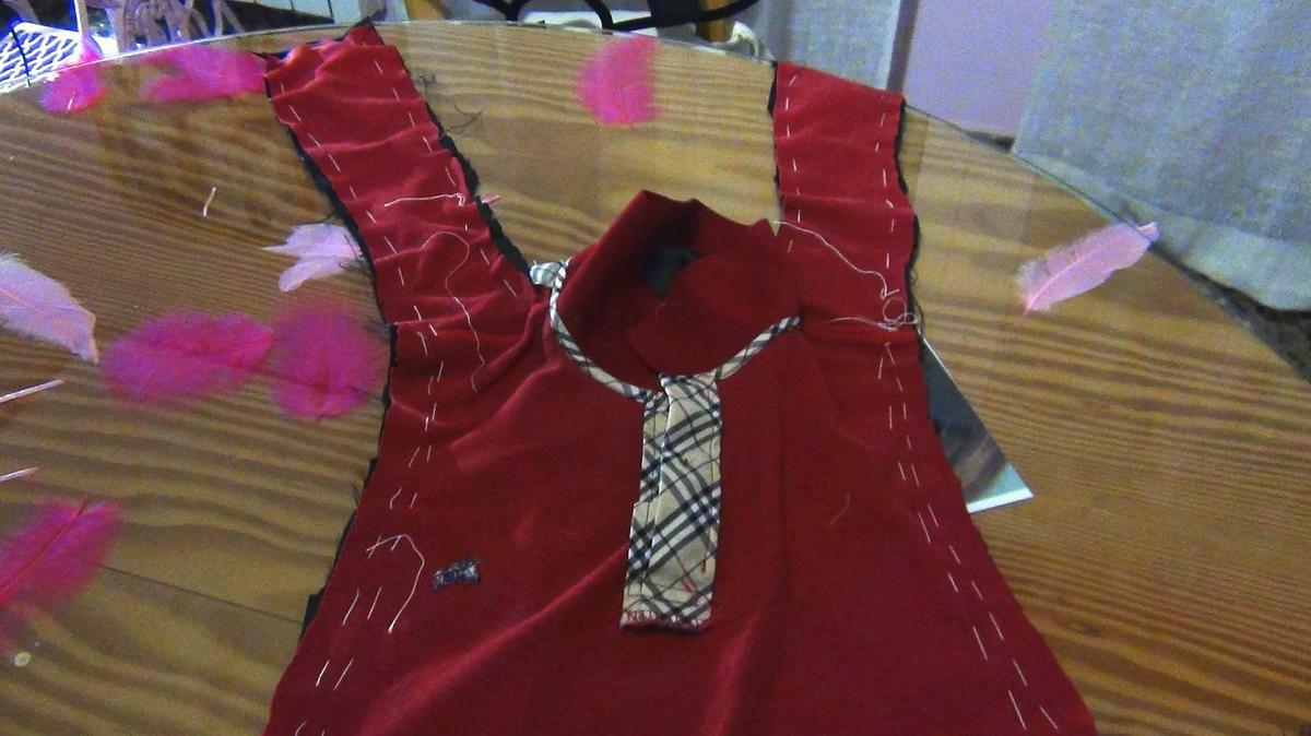 DSC03081-300x169 Un sueter para mi galgo