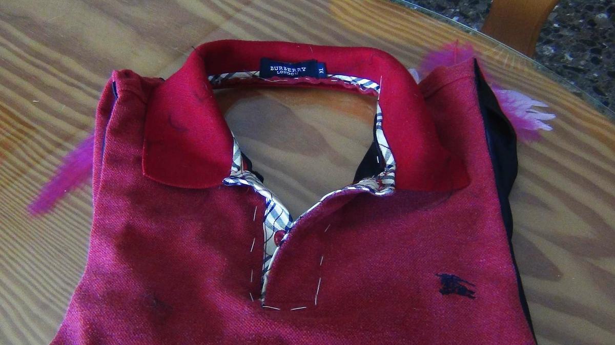 DSC03085-300x169 Un sueter para mi galgo