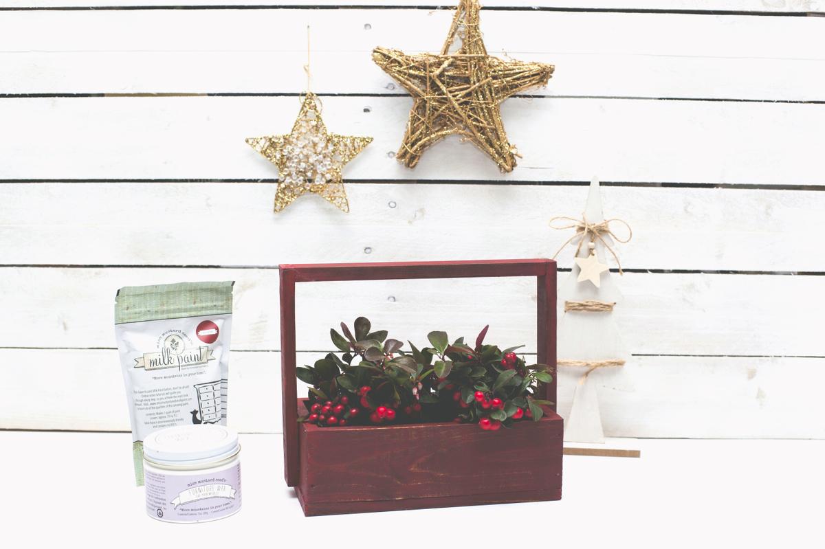 Kit Miss Mustard Seed