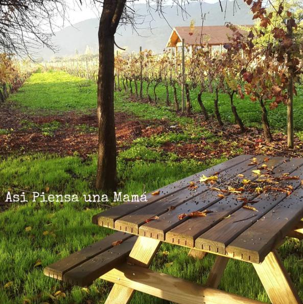 paseos-santiago-vina