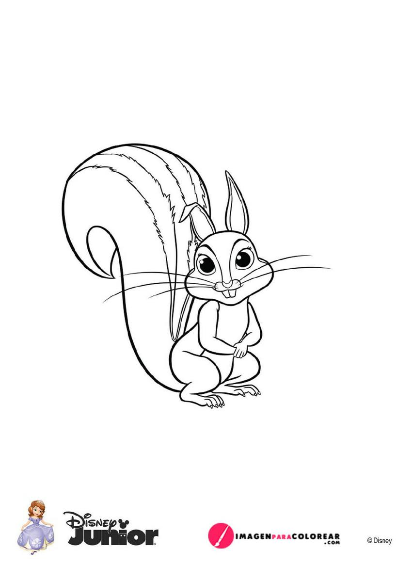 Ardilla De Princesa Sofia