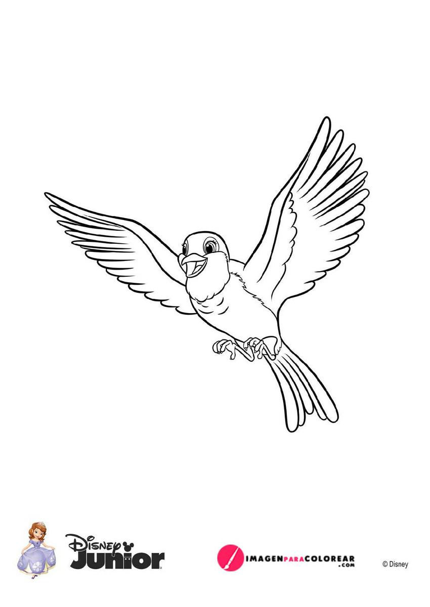 Pajaro Robin De Princesa Sofia