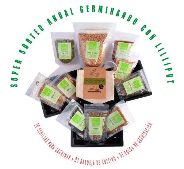 Sorteo germinar con lilliput