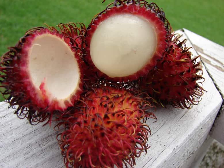 rambutan