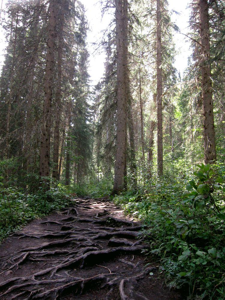 canada-06-yoho-national-park-01