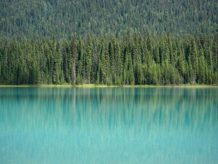 canada-06-yoho-national-park-17