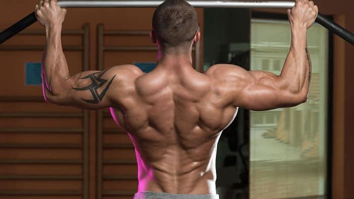 Opciones de entrenamiento