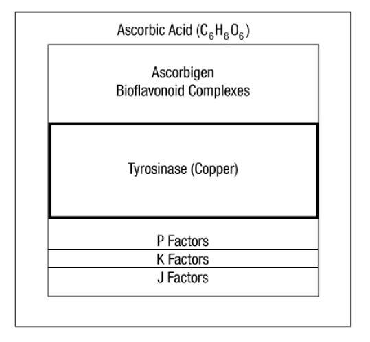 vitamina c vs acido ascorbico